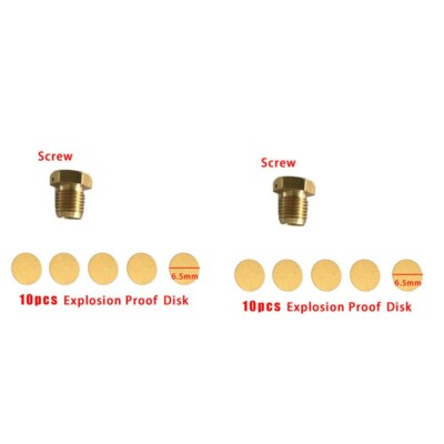 YONG HENG AIR PUMP Explosion-proof Valve 30MPa Compressor Spare Part PCP Pressur