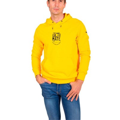 

Puma Pl Graphic Pullover Hoodie Mens Yellow Повседневная спортивная верхняя одежда 53483302, Желтый, Puma Pl Graphic Pullover Hoodie