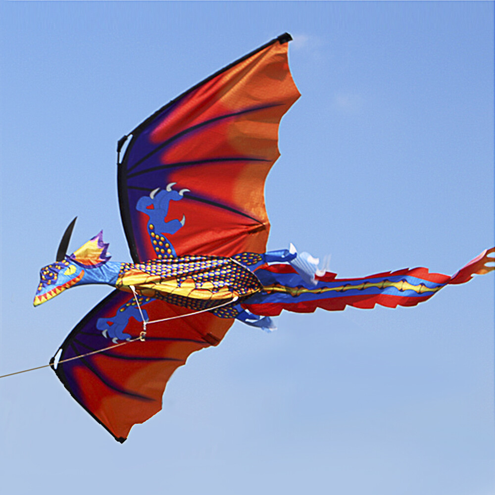 3D Kinder Erwachsene Drachen Einleiner Flugdrachen Drachenfliegen w// Schnur U1C2