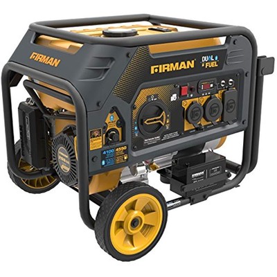 Firman Generators H03651 4550/3650 Watt Dual Fuel Electric Start Generator, 