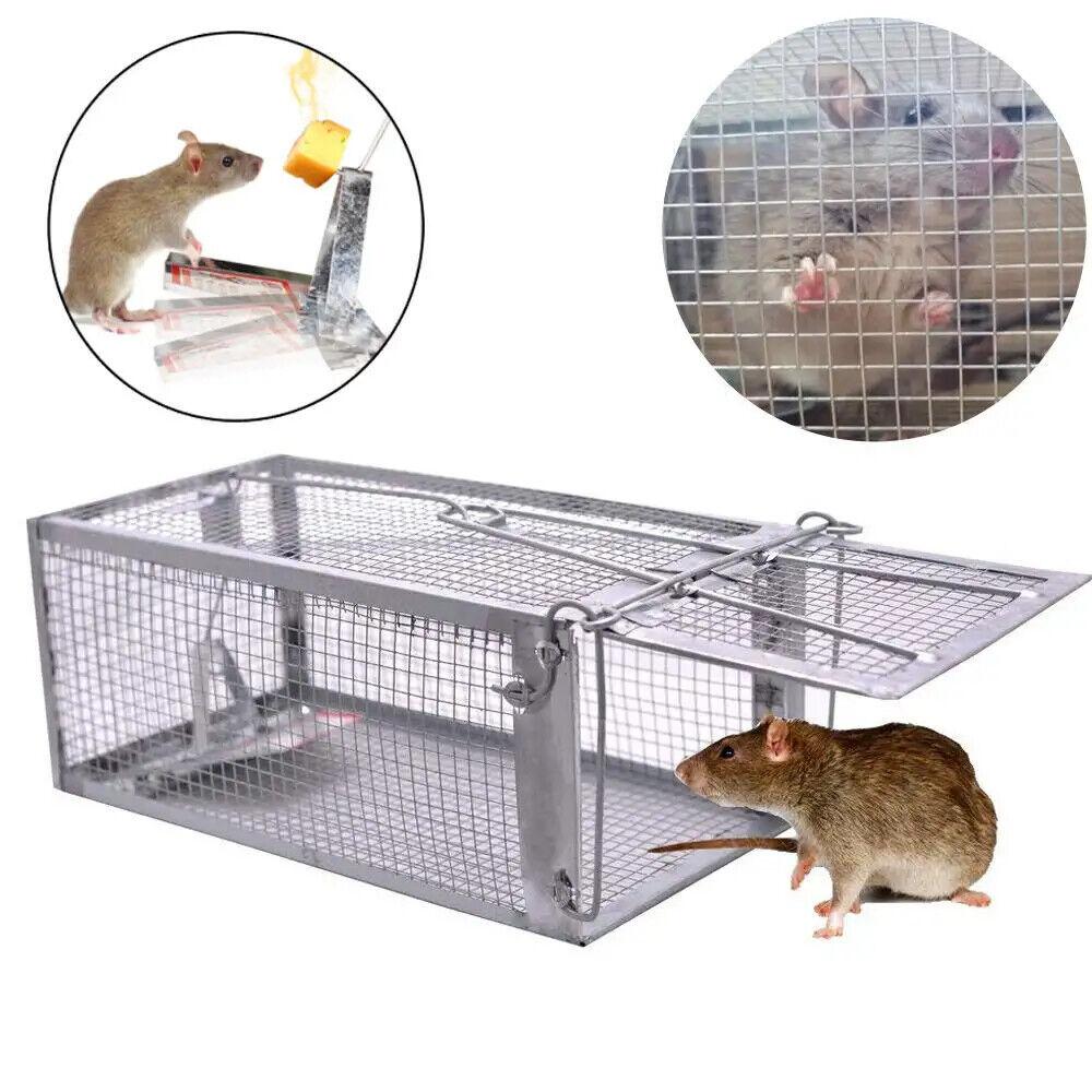 Mouse Trap Rat Rodent Trap Live Catch Cage Glue Board Mice Indoor Sticker Catch