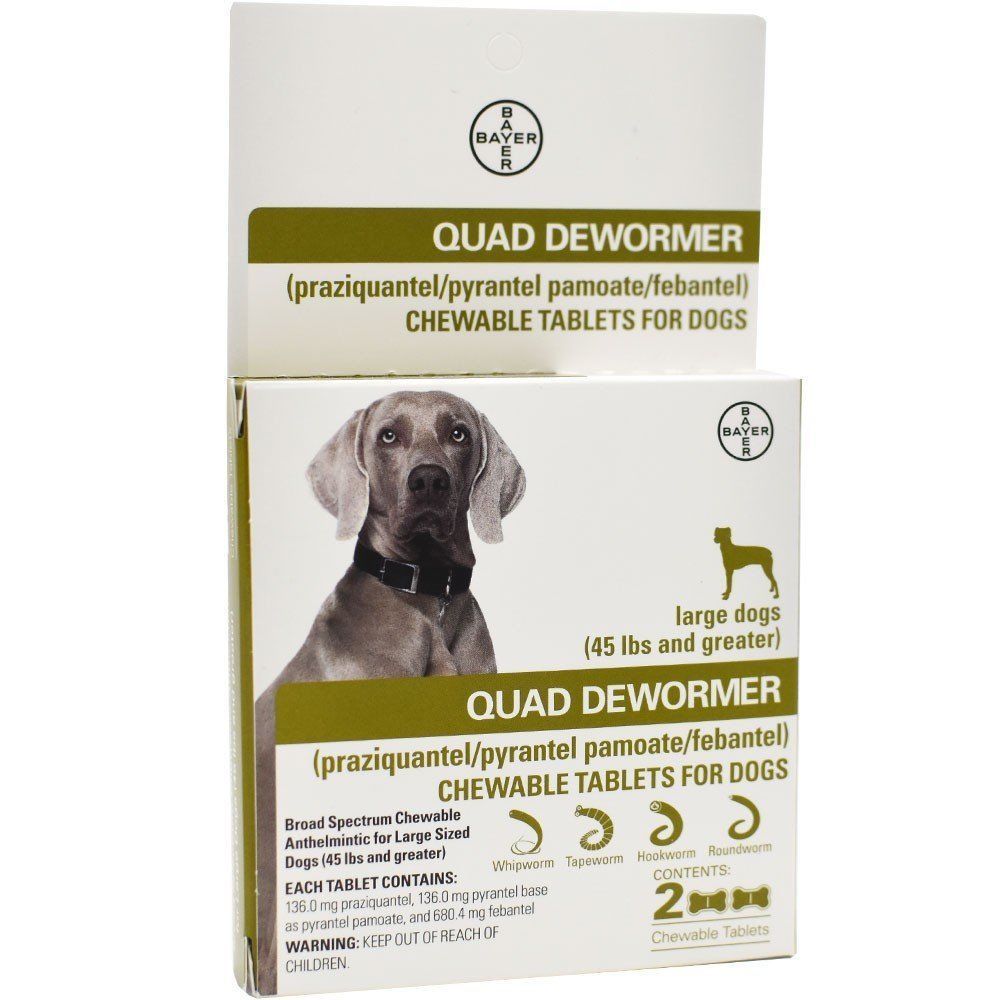 Bayer Quad Dewormer For Large Dogs 45 & Up Pounds ~ NEW