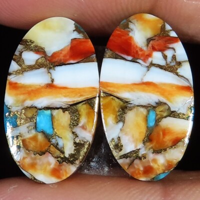 23.65 Cts OYSTER Turquoise Pair Cabochon 12x22x3 mm Oval Shape Gemstone SL_211