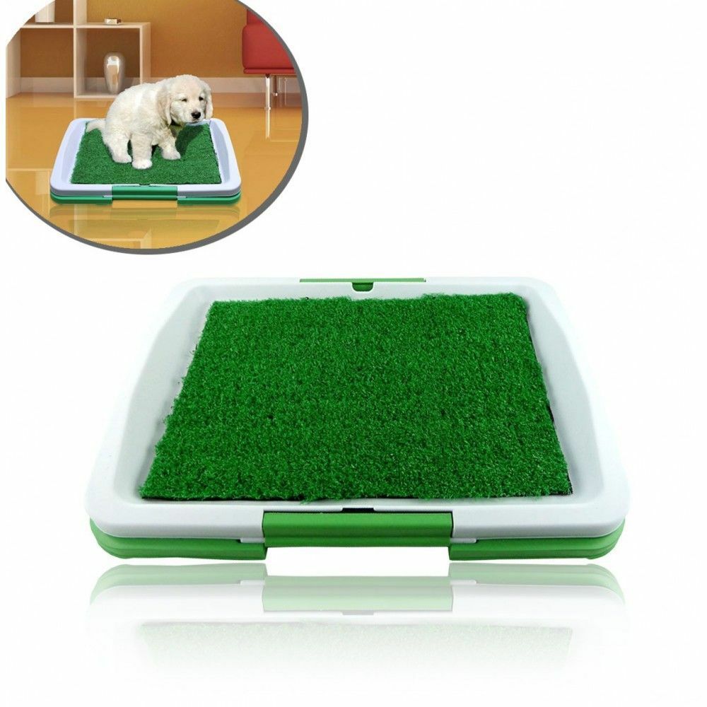 Lettiera Per Cuccioli Cani Cane Puppy Potty Pad Toilette Wc Dog 3 Strati Livelli
