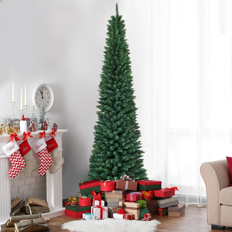 Green Fir Xmas Holiday
