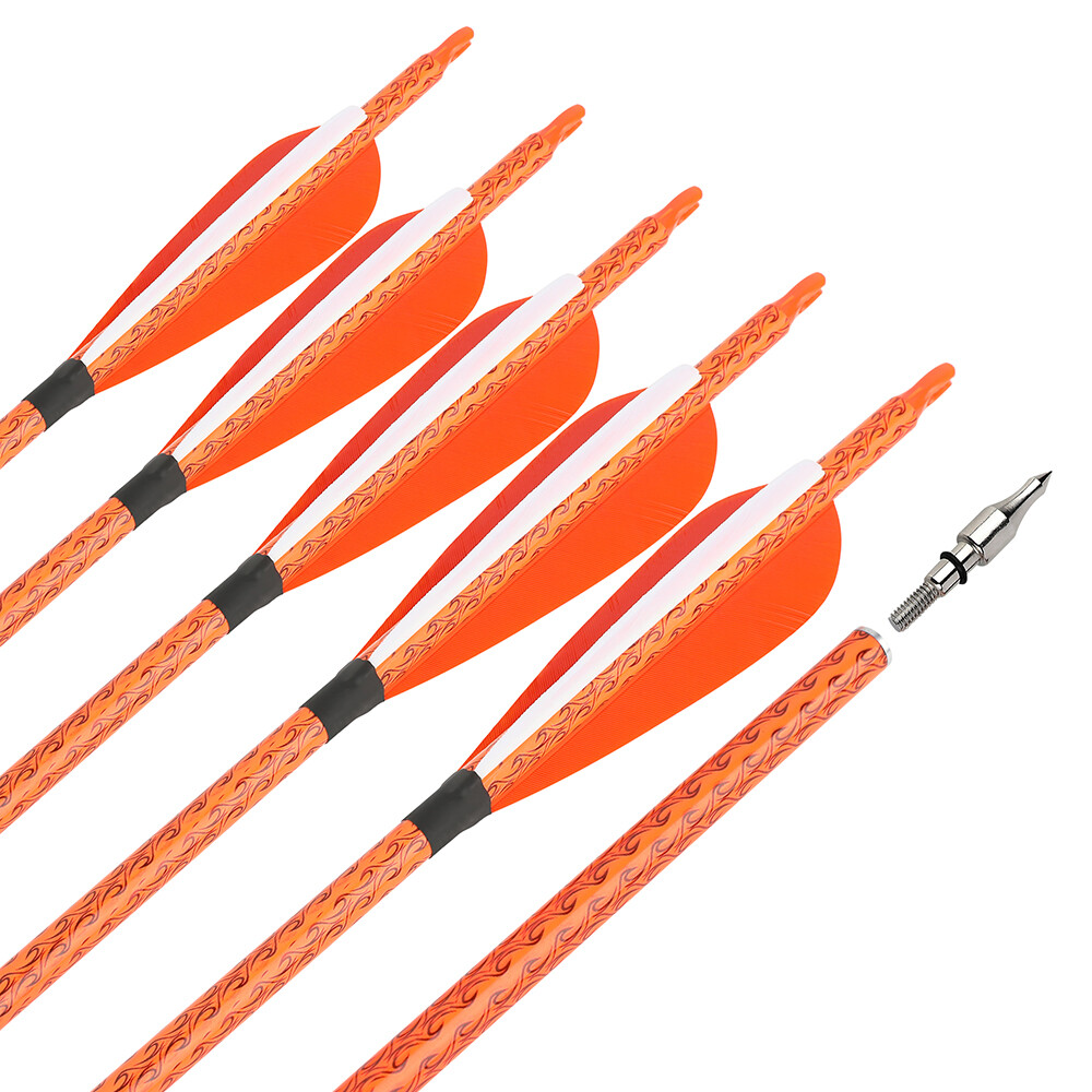 30" Carbon Arrows Archery SP500 4" Feather Compoundbow Recurve Bow Tips Hunting