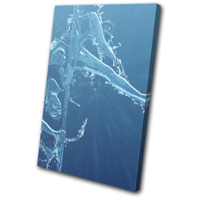 Erotic Woman Pole Dancer Water Erotic SINGLE TOILE murale ART Photo Print