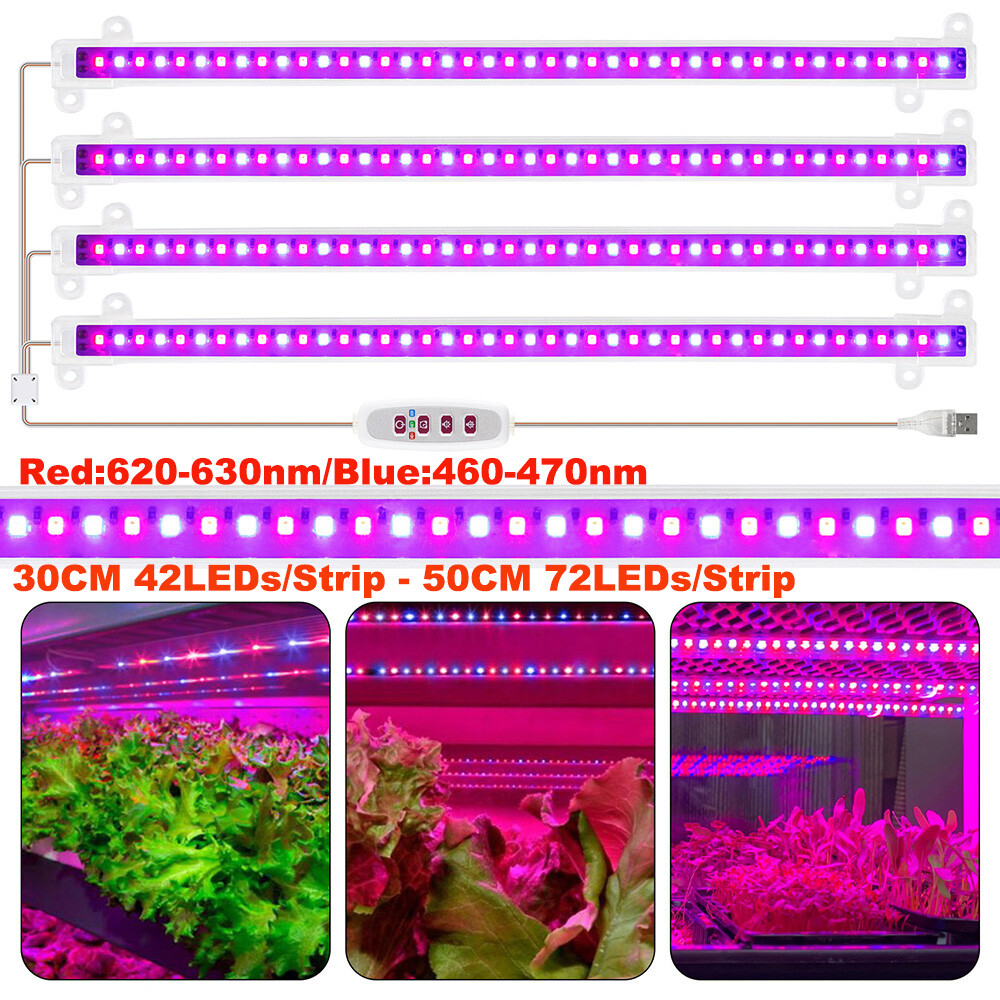 Strips Indoor Flowering Lamps