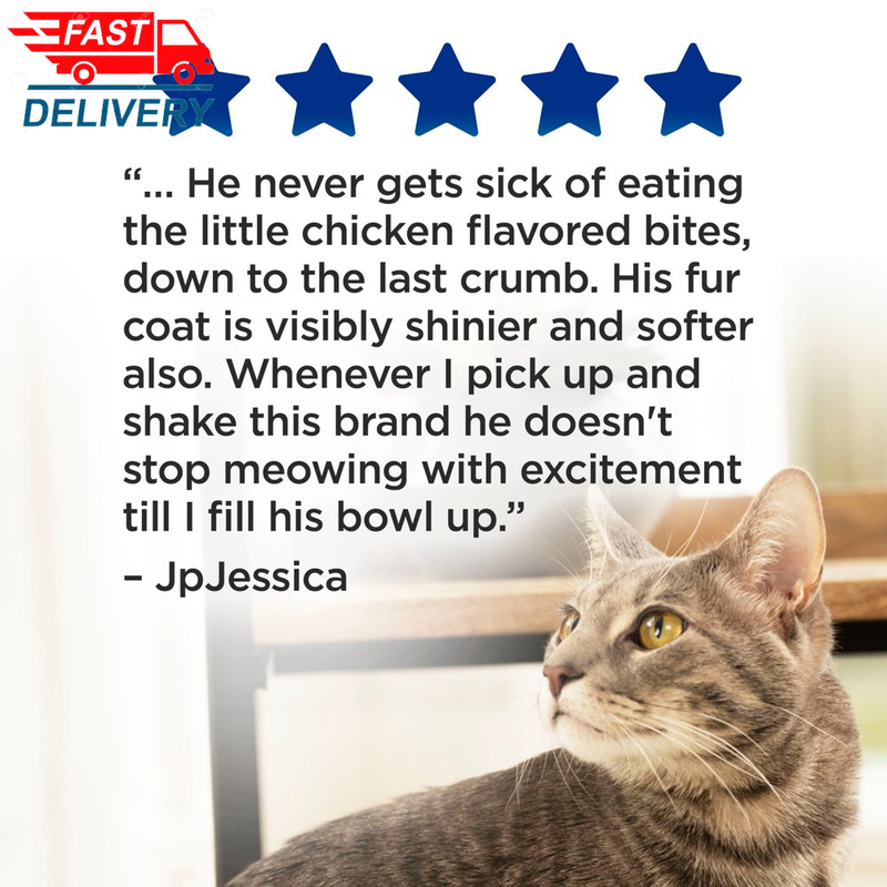 Purina Cat Chow Complete Dry Cat Food, 20 Lb Bag 🐱🐱🐱