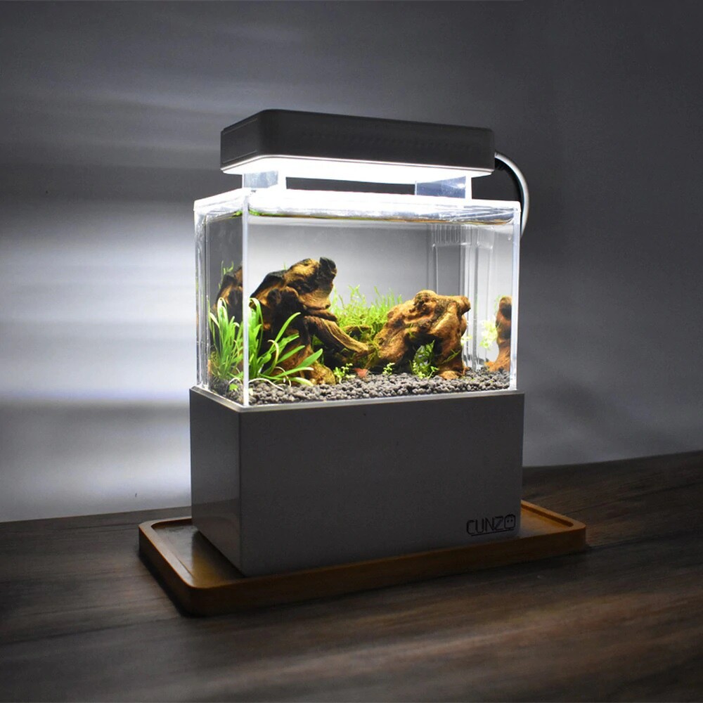  Mini  Complete Tank Paludarium Terrarium Nano Desktop 