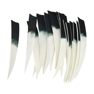 Archery Arrow Fletches Feathers 5'' Turkey Fletching Natural Right Wings Shield