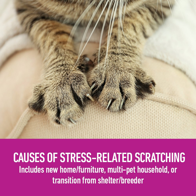 Comfort Zone Calming Diffuser Refills