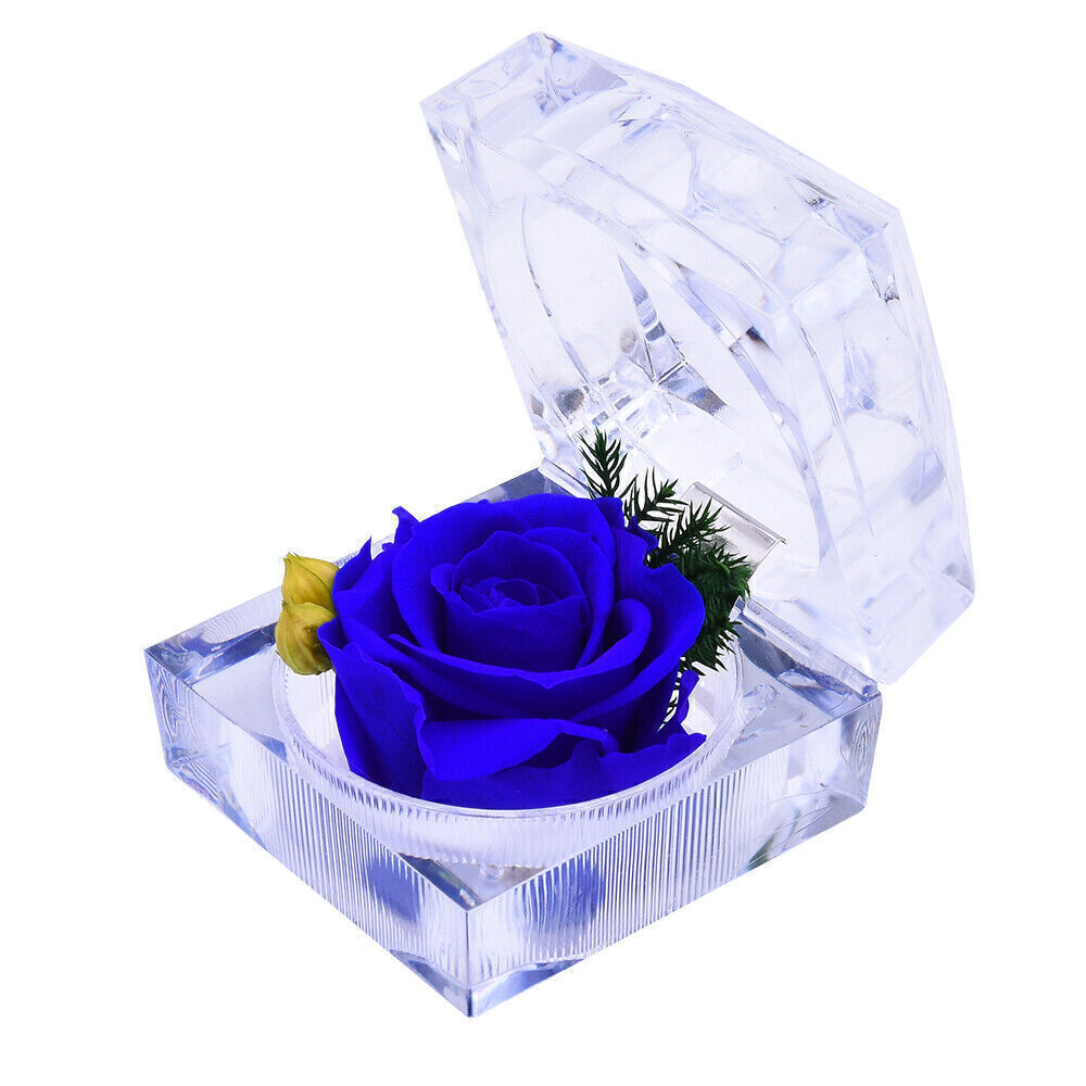 Preserved Roses Flowers Real Rose in Gift Box Never Withered Romantic Gifts US