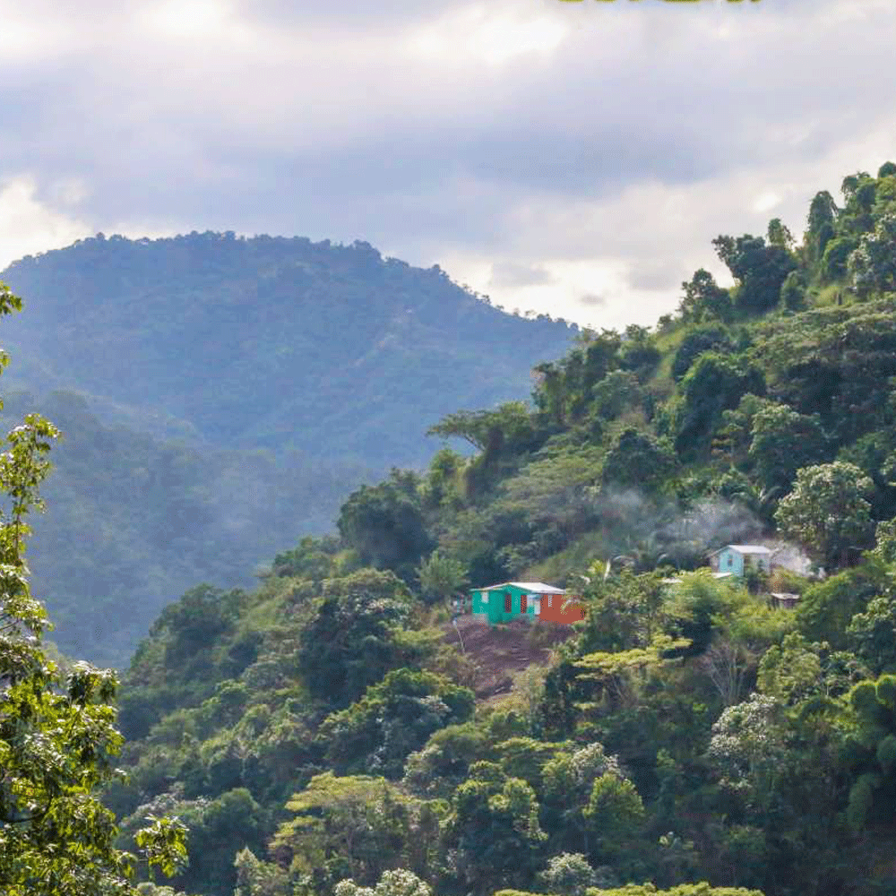 5 BEAN ESPRESSO COFFEE BEANS DARK ROASTED 2 POUNDS