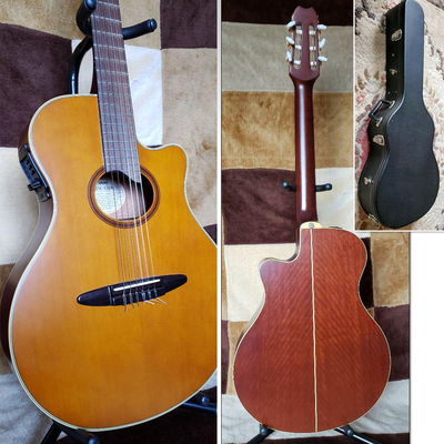 Yamaha 2024 apx case