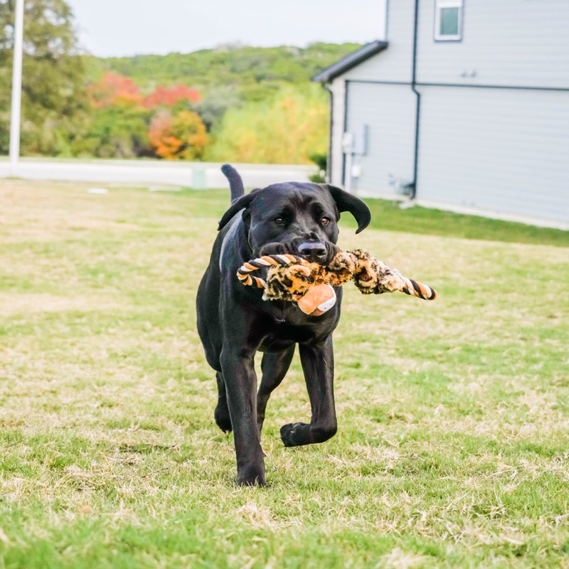 Cozy Buddy with Rope Dog Toy, Pull and Crinkle, Leopard