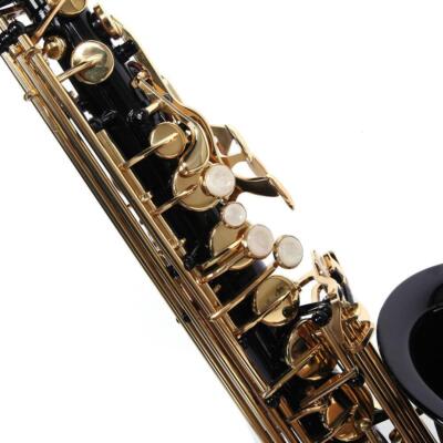 New Brass Eb Alto Saxophone Black Sax w/ Other Accessories