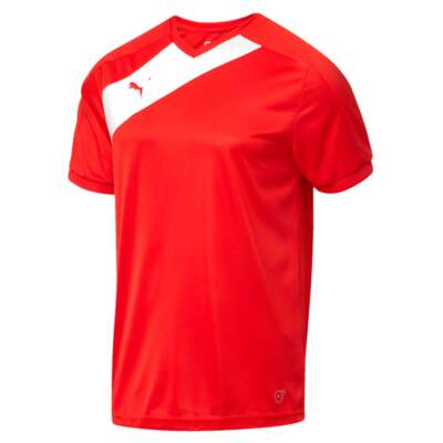 

Футбольная майка для мальчиков Puma Santiago Tg Performance с круглым вырезом и короткими рукавами, красная, Красный, Puma Santiago Tg Performance Crew Neck Short Sleeve Soccer Jersey