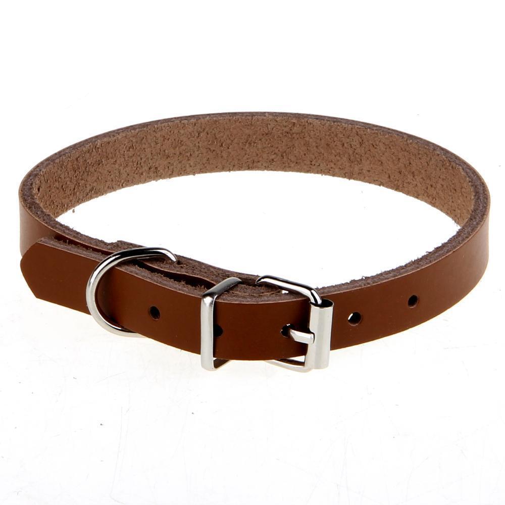 Personalized Leather Collars for Dogs