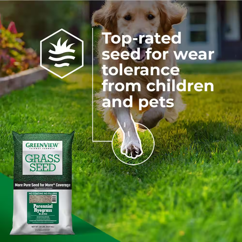 3 Lbs. Fairway Formula Grass Seed Perennial Ryegrass Blend