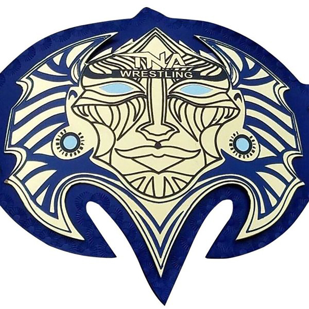 TNA JEFF HARDY BELT WRESTLING CHAMPIONSHIP BELT ADULT SIZE REPLICA BELT 2MM/4MM - Picture 3 of 4