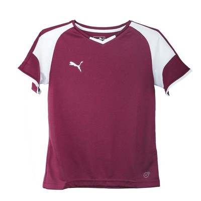 

Молодежная футбольная майка Puma Borussia VNeck для мальчиков бордовая 703038-06-Y, Burgundy, Puma Borussia VNeck Soccer Jersey Youth