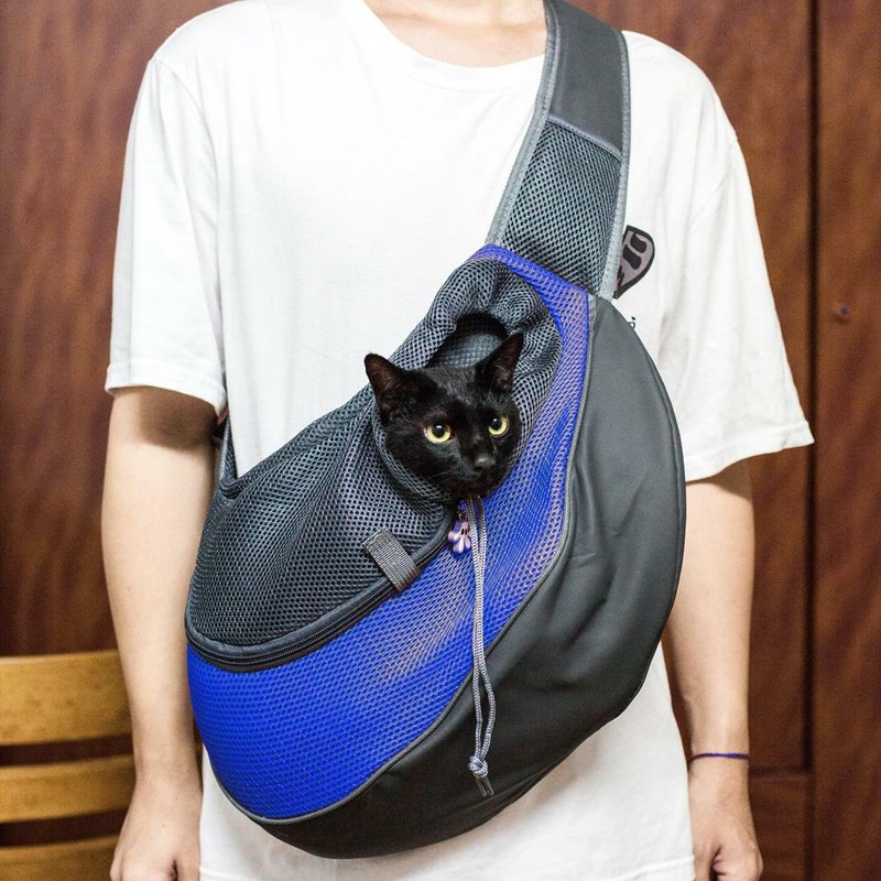 pet carrier shoulder bag