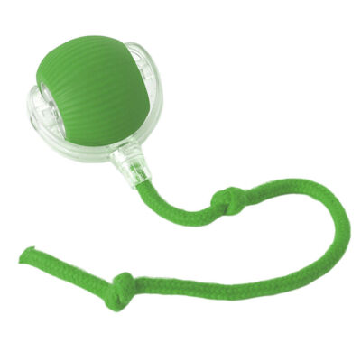 Automatic Rolling Ball Smart Cat Dog Toy Electric Pet Self-moving Kitten Game US