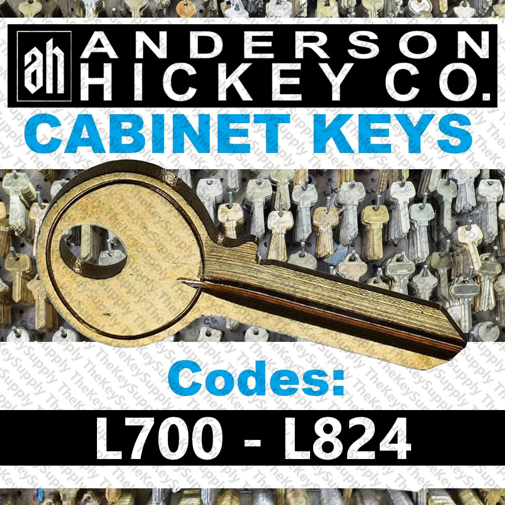 Anderson Hickey File Key Cut to Your Code L700 L824のeBay公認海外