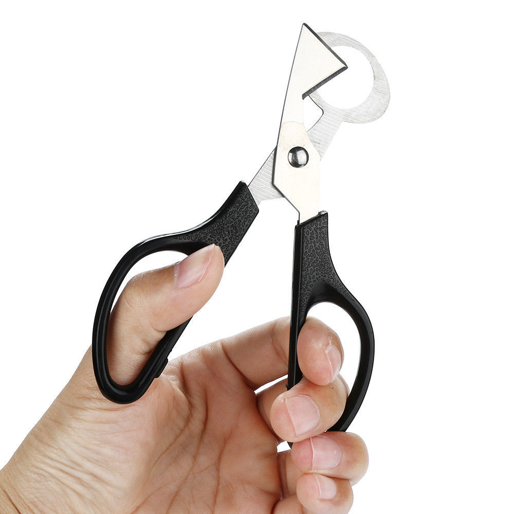Pigeon Quail Egg Scissor Opener Cutter Stainless Steel FREE SHIPPING