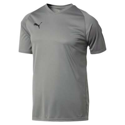 

Puma Liga Logo Jersey Core V-образным вырезом с коротким рукавом Спортивная футболка мужская серая повседневная, Grey, Puma Liga Logo Jersey Core V Neck Short Sleeve Athletic T-Shirt