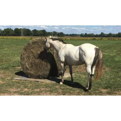 Hay Rack Hay Bar Hay Feeder Haynet Alternate Quick Fill Hay Sling