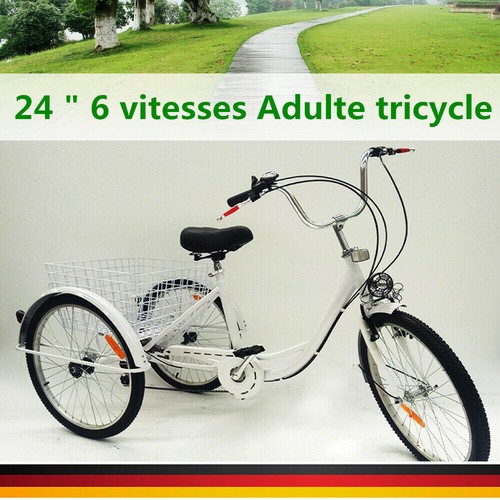 24 inch schwinn meridian tricycle
