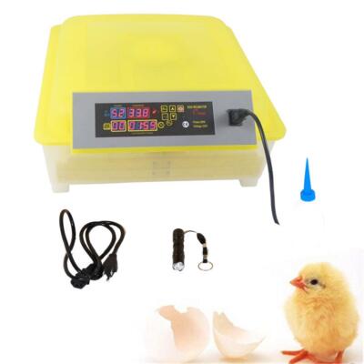 48 Digital Clear Egg Incubator Hatcher Automatic Egg Turning Temperature Control