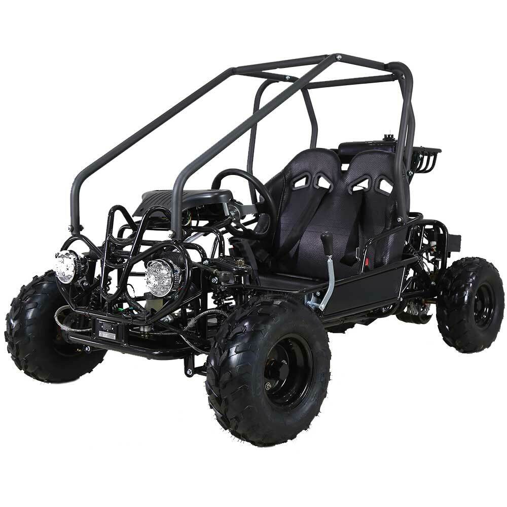 Tao Tao 110cc Go Karts in several colors! New and include warranty.
