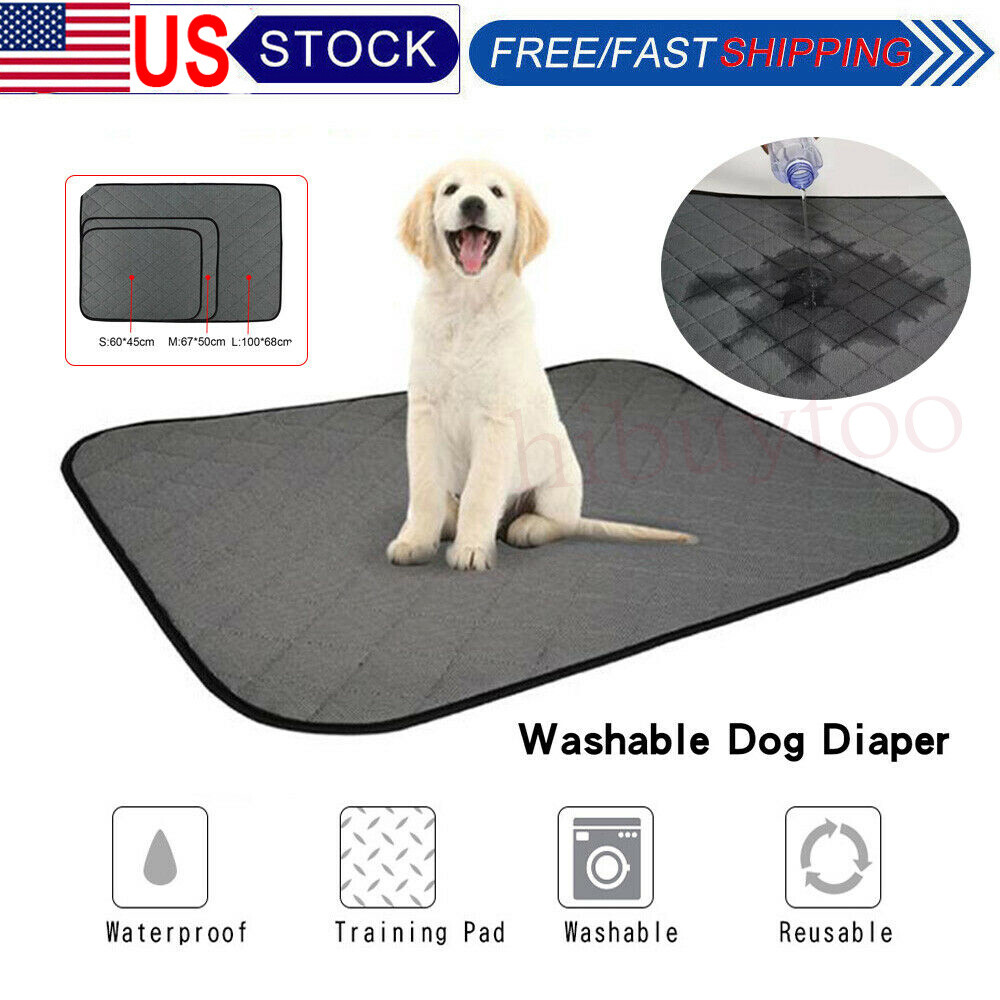 washable floor mats for dogs