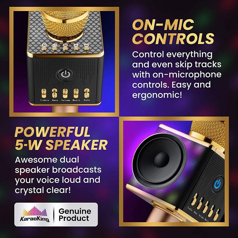Portable Wireless Bluetooth Karaoke 