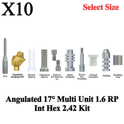 10x Kit Angulated 17° Multi Unit 1.6 RP Int Hex 2.42 Connection Titanium Dental