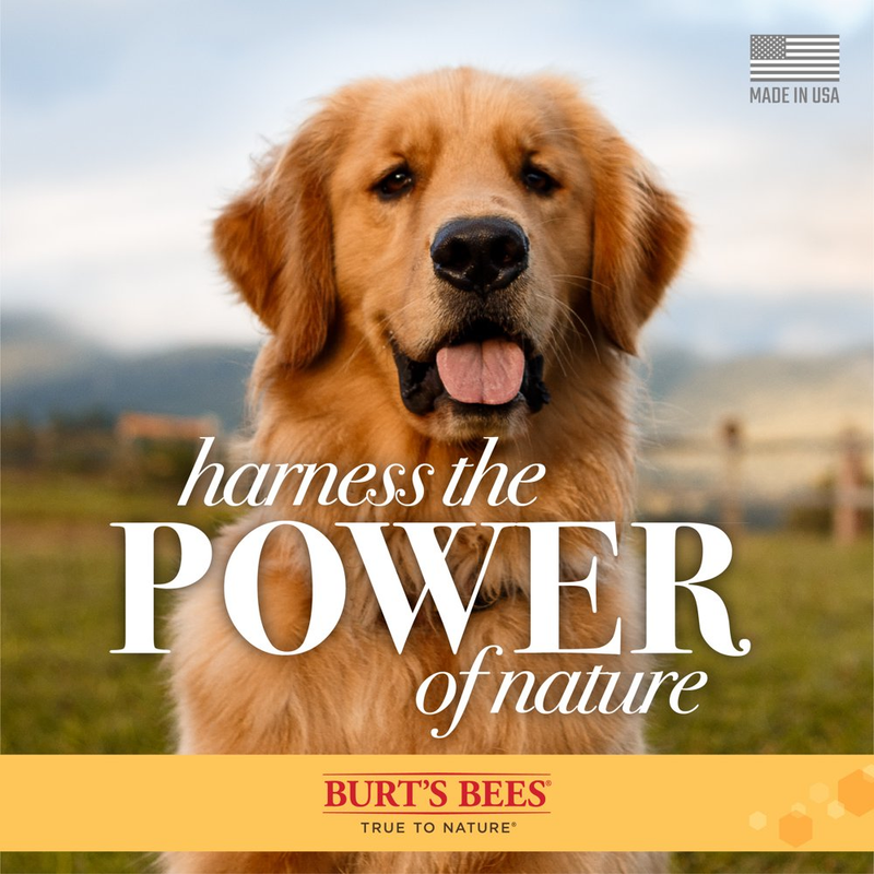 Burt'S Bees Natural Pet Care Oatmeal Dog Conditioner with Colloidal Oat Flour an