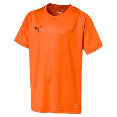 

Футболка Puma Liga Core с V-образным вырезом и короткими рукавами для мальчиков, молодежная, оранжевая 703542-08, Оранжевый, Puma Liga Core VNeck Short Sleeve Soccer Jersey Youth