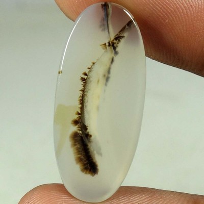 12.90Cts 100% Genuine Scenic Dendrite Agate Gemstone Oval Cabochon 13x 28x 04mm