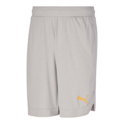 

Мужские шорты Puma Rtg Shiny Fabric 10 дюймов Серые повседневные спортивные штаны 67042619, Grey, Puma Rtg Shiny Fabric 10" Shorts