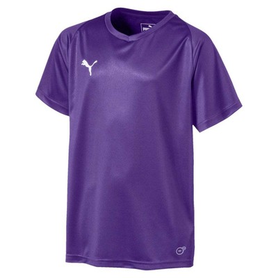 

Футболка Puma Liga Core с круглым вырезом и короткими рукавами для подростков, фиолетовый для мальчиков, 703542-10, Puma Liga Core Crew Neck Short Sleeve Soccer Jersey Youth