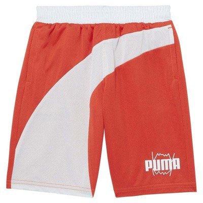 

Баскетбольная сумка Puma, шорты из полисетки, молодежные спортивные штаны для мальчиков, размер , повседневные спортивные штаны, Красный, Puma Basketball Pack Poly Mesh Shorts Youth