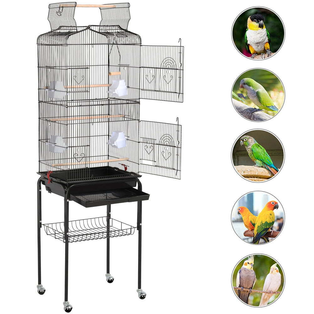 With Rolling Stand And Perch (brand New)
