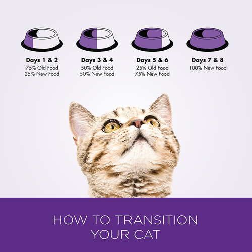 Wellness Healthy Indulgence Natural Grain Free Wet Cat Food, Morsels Tuna, Pouch