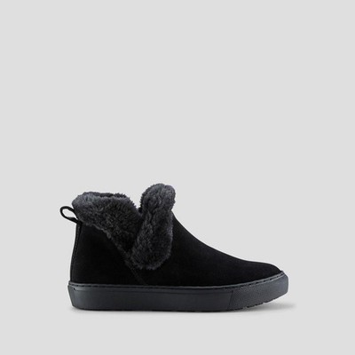 ebay Product
