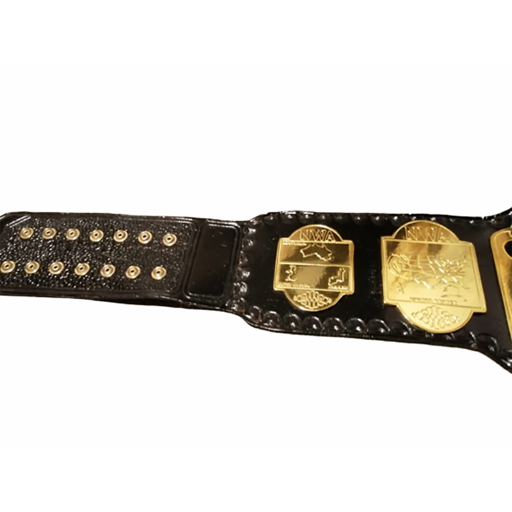 NWA World Tag Team Gold Plate 2MM/4MM Zinc Wrestling Championship Title Belt - Picture 4 of 6