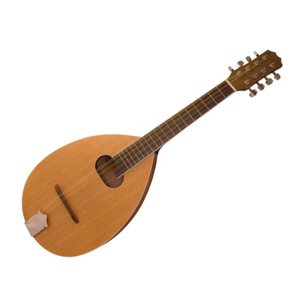 Mandolins for sale eBay