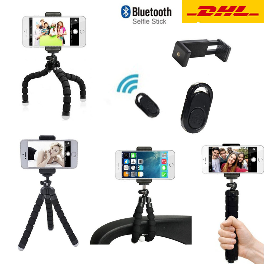 Stander Halter Bestseller 21 Die Beliebtesten Im Vergleich Top Vergleich Eu